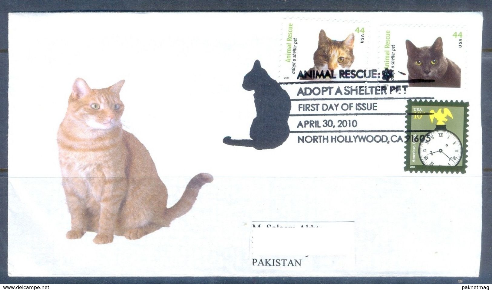 D634- FDC Of USA. Animals. Cats. Watch. - Other & Unclassified