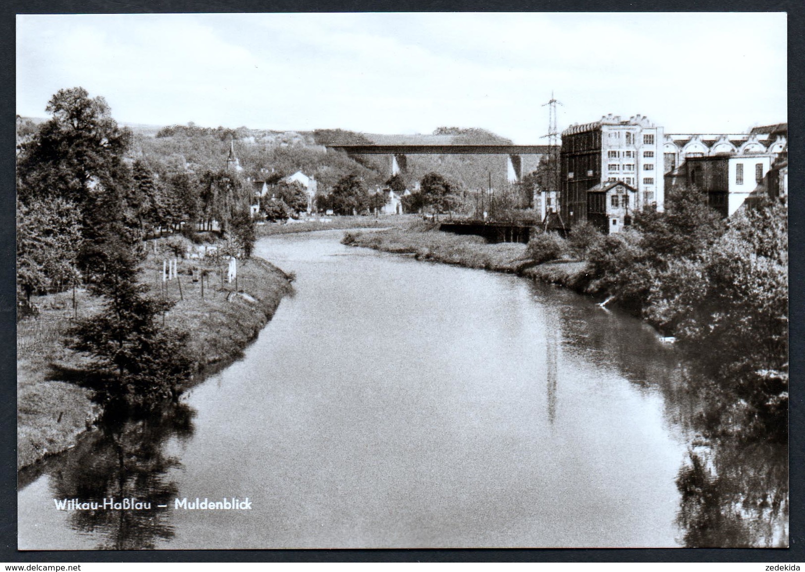 A4988 - Alte Foto Ansichtskarte - Wilkau Haßlau - Muldenblick - Kallmer TOP - Zwickau