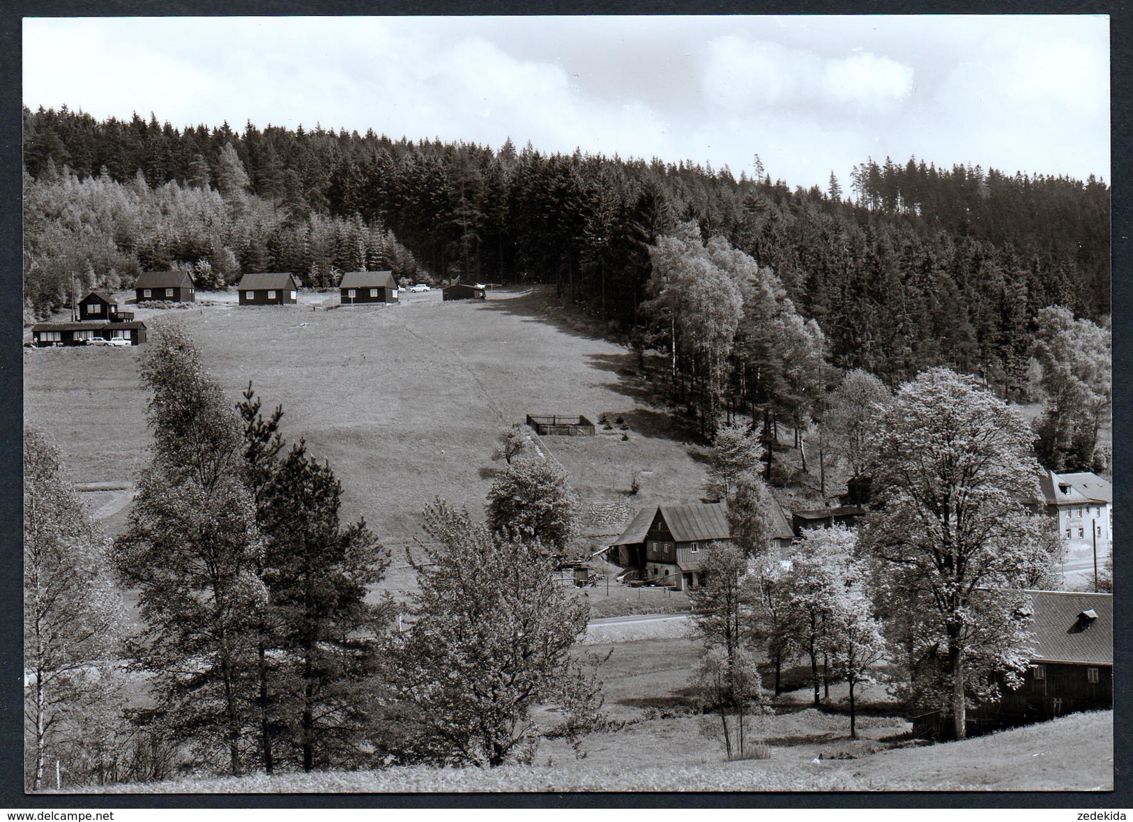 A4995 - Alte Foto Ansichtskarte - Raun - Gasthaus Felsenkeller Und Kinderferienlager Ferienlager - Erlbach TOP - Bad Brambach