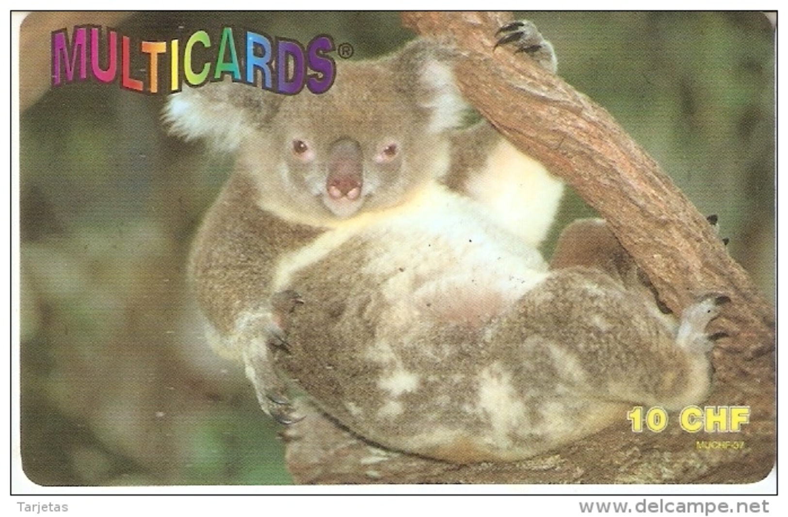 TARJETA DE SUIZA DE MULTICARDS DE UN KOALA TIRADA 5000 - Suiza