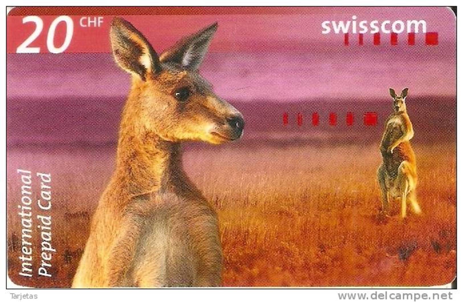 TARJETA DE SUIZA DE SWISSCOM DE 2 CANGUROS (KANGAROO-CANGURO)  - DATE EXPIRY 10/2004 - Switzerland