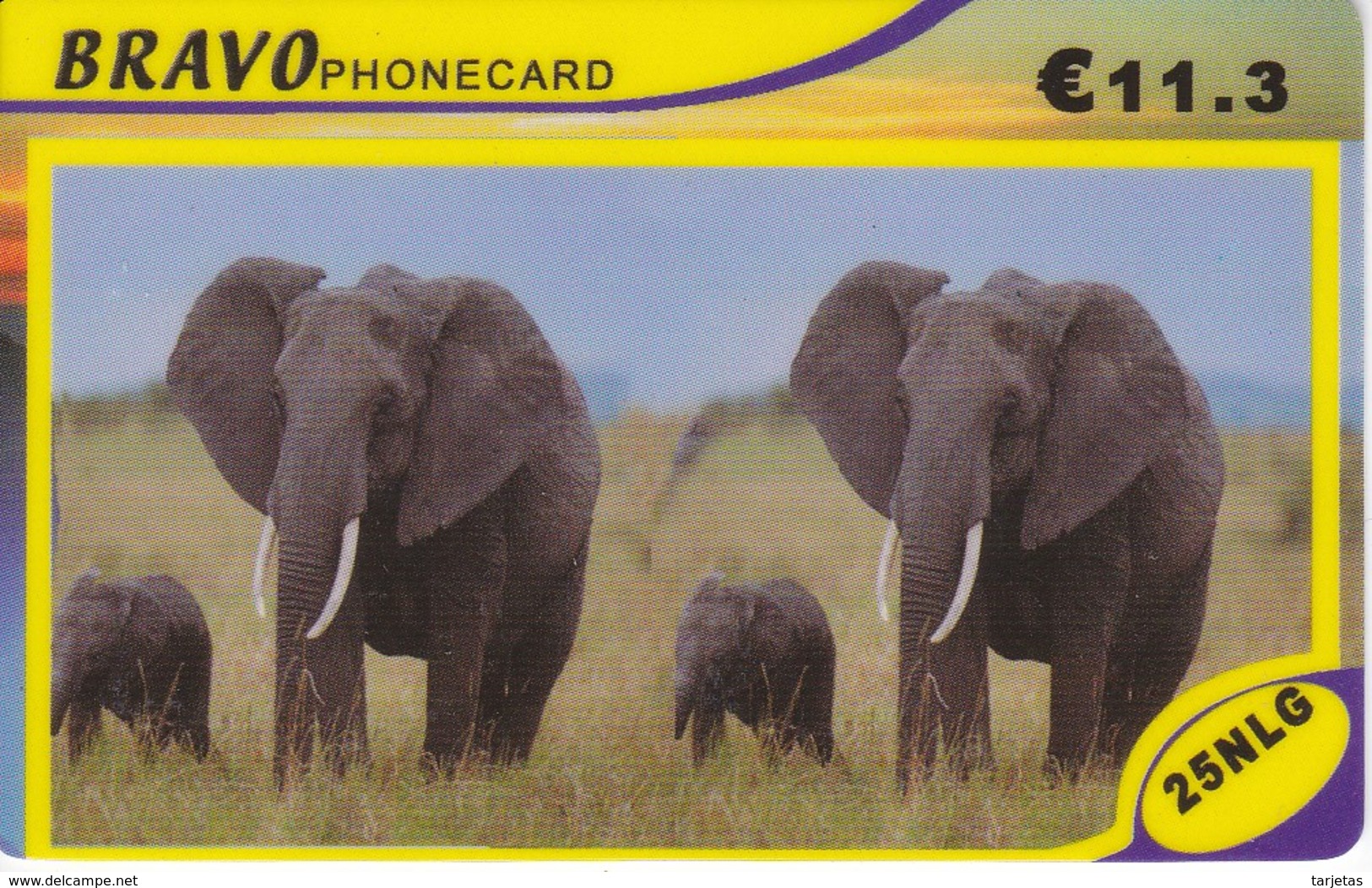 TARJETA DE HOLANDA DE UNOS ELEFANTES (ELEFANTE-ELEPHANT) - Otros & Sin Clasificación