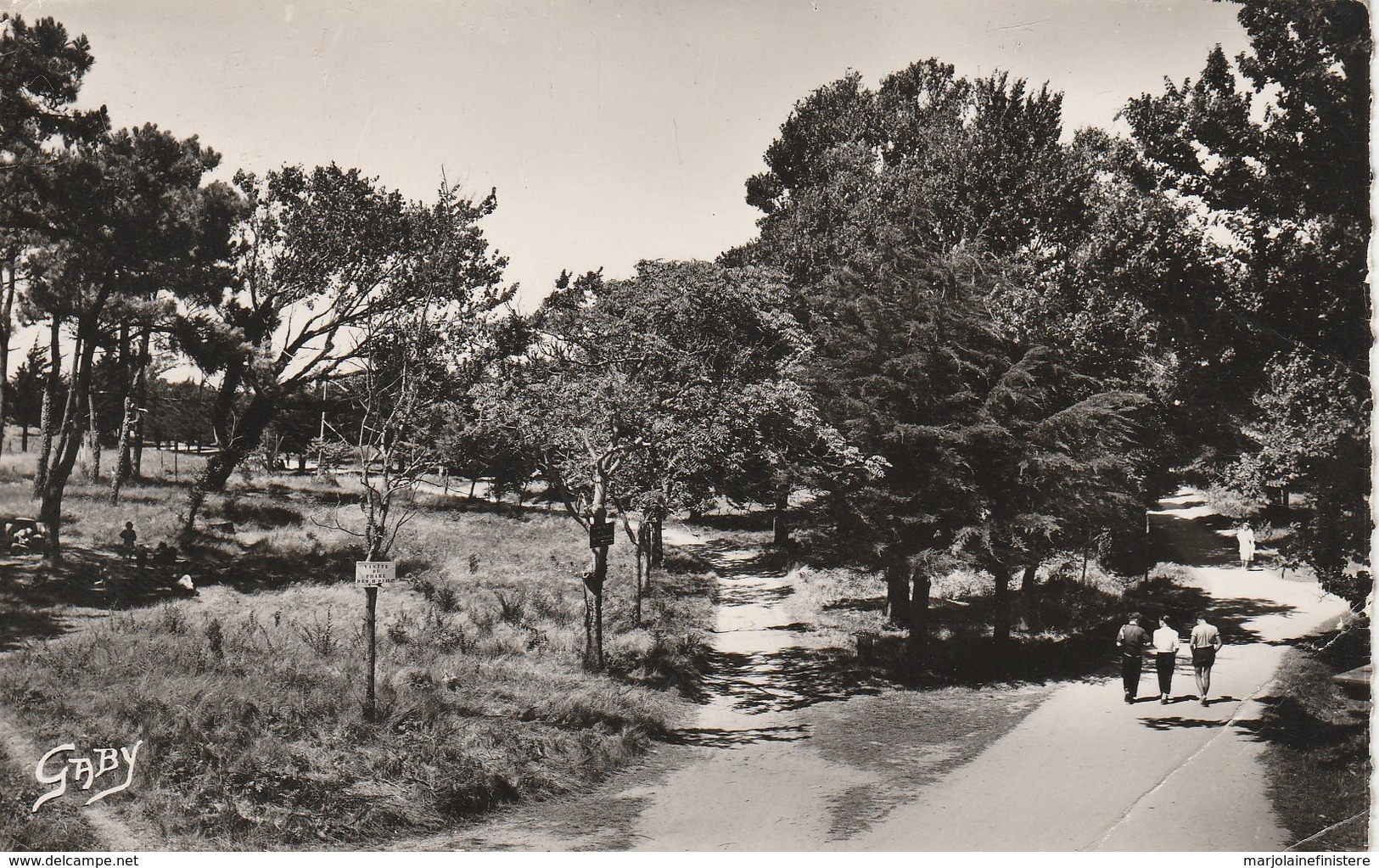 Dép.17 - Ile D'Aix. - Entrée Du Bourg Et Les Allées De La Place Austerlitz. Gaby. Artaud. N° 31 - Other & Unclassified