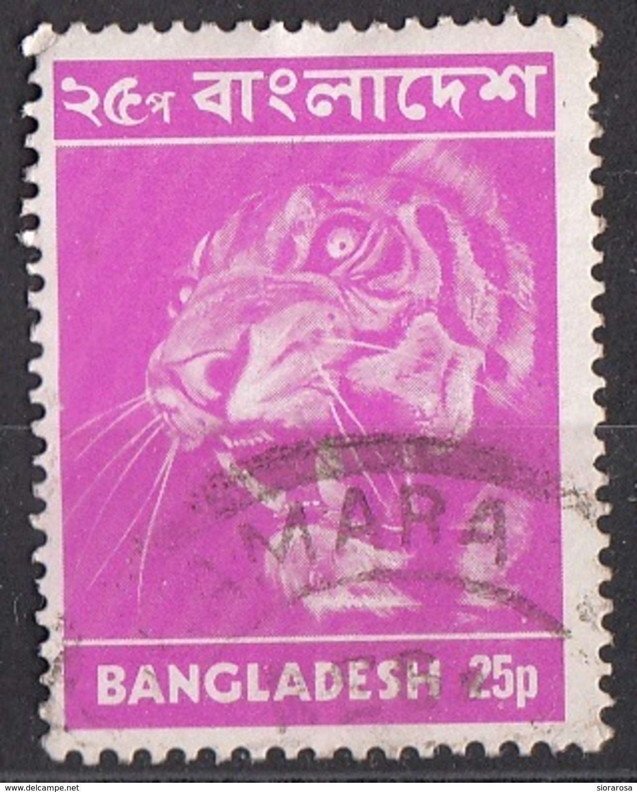 47 Bangladesh 1973 Tiger Tigre Used - Bangladesh