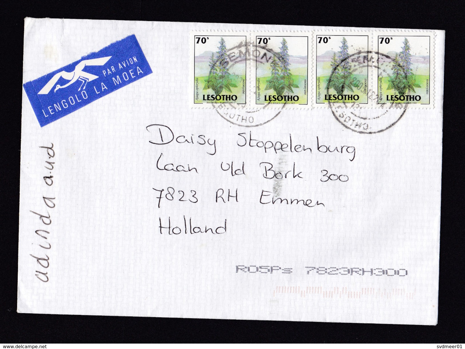 Lesotho: Airmail Cover To Netherlands, 2005, 4 Stamps, Flower, Medicinal Herb, Air Label, Rare Use (minor Discolouring) - Lesotho (1966-...)