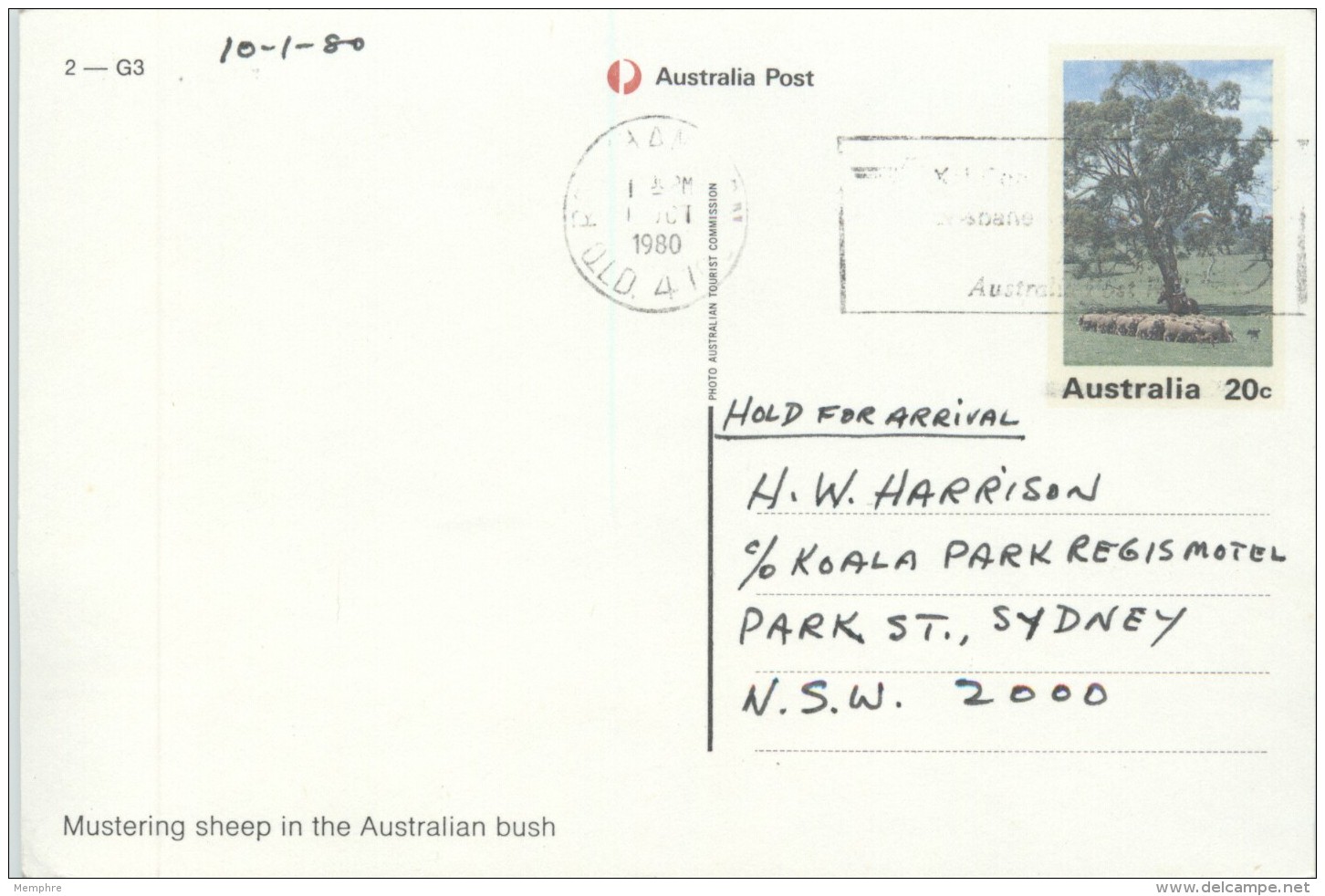 1980  View Card MUstering Sheep In The Austrlian Bush - &pound;2-G3 Used - Interi Postali