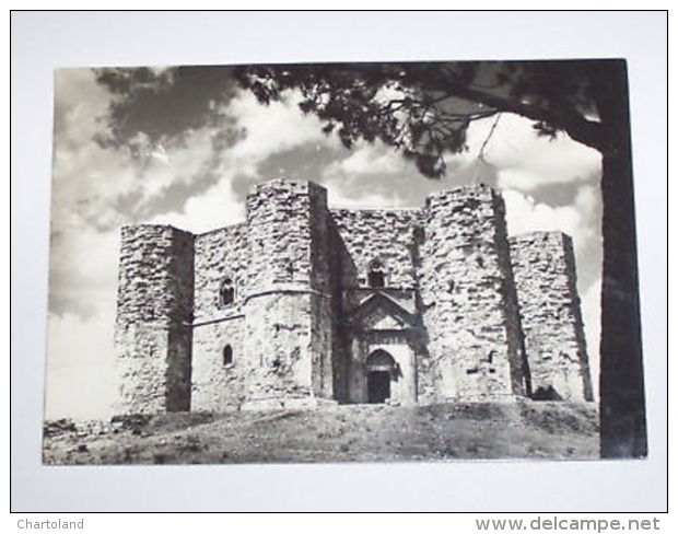 Cartolina Andria - Castel Del Monte 1964 - Bari