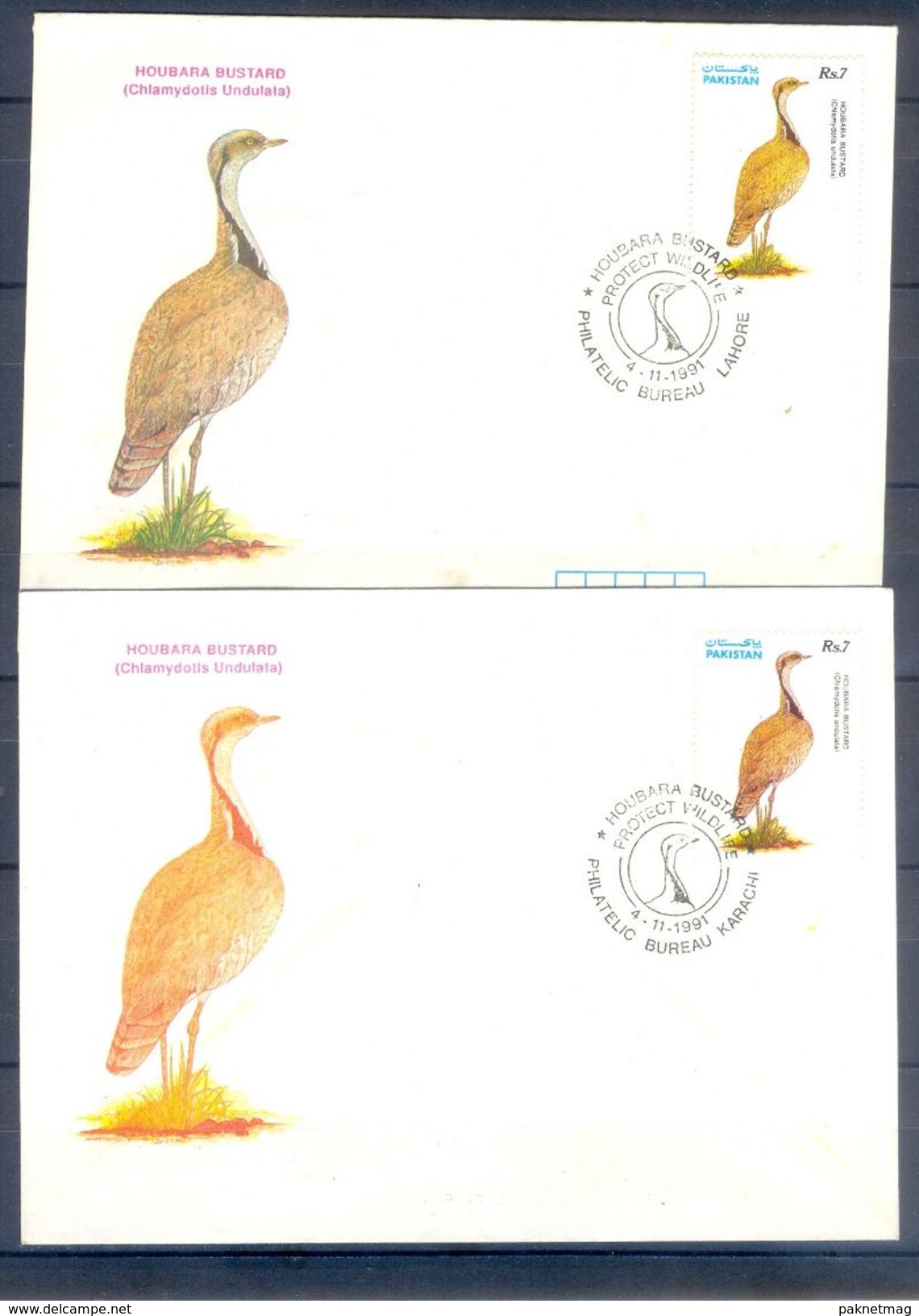 D754- FDC Of Pakistan Year 1991. Olour Error. Houbara Bustard. - Pakistan