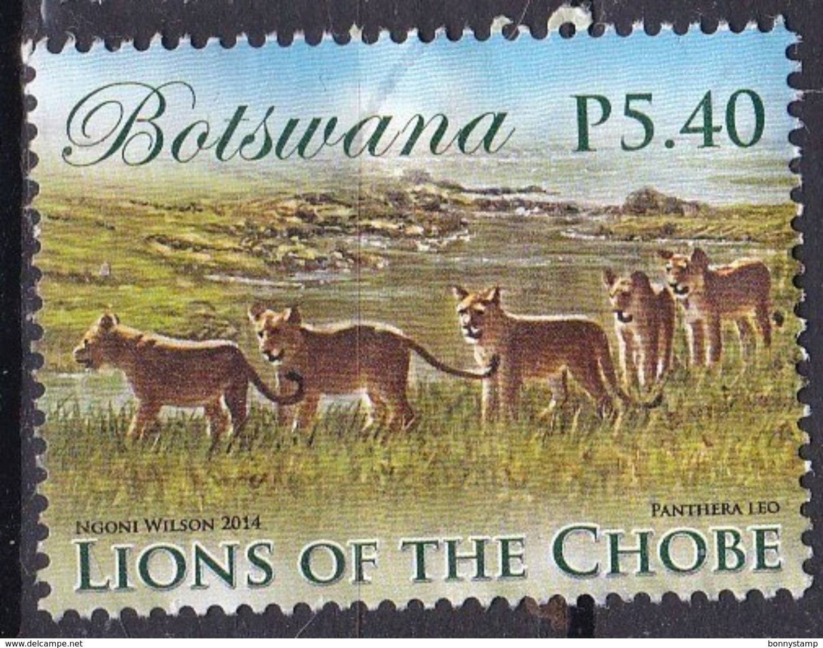 Botswana, 2014 - 5,40p Lions - Nr.954 Usato° - Botswana (1966-...)