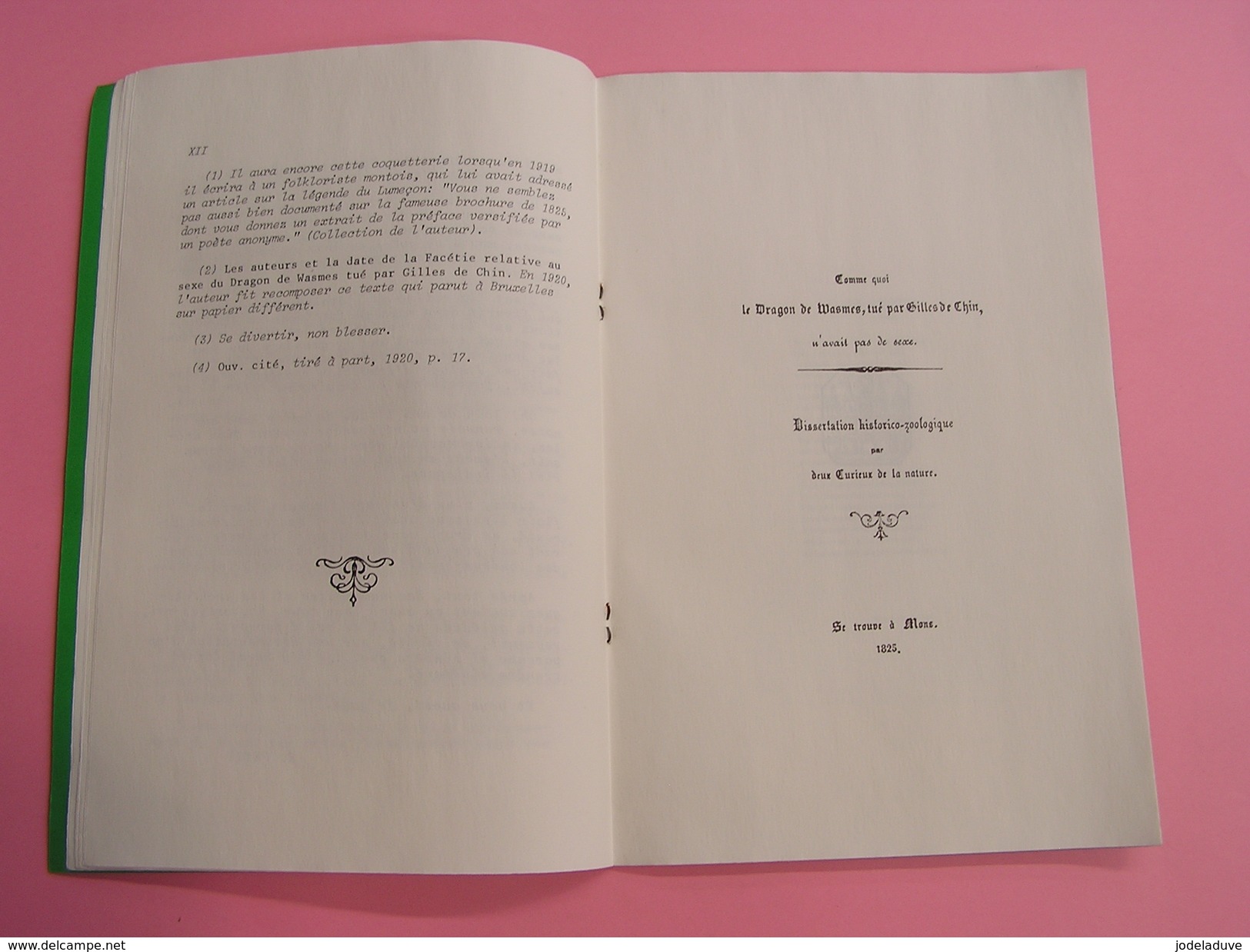 Comme Quoi LE DRAGON DE WASMES Tué par Gilles de Chin n'avait pas de Sexe Régionalisme Mons Haine Folklore Légende