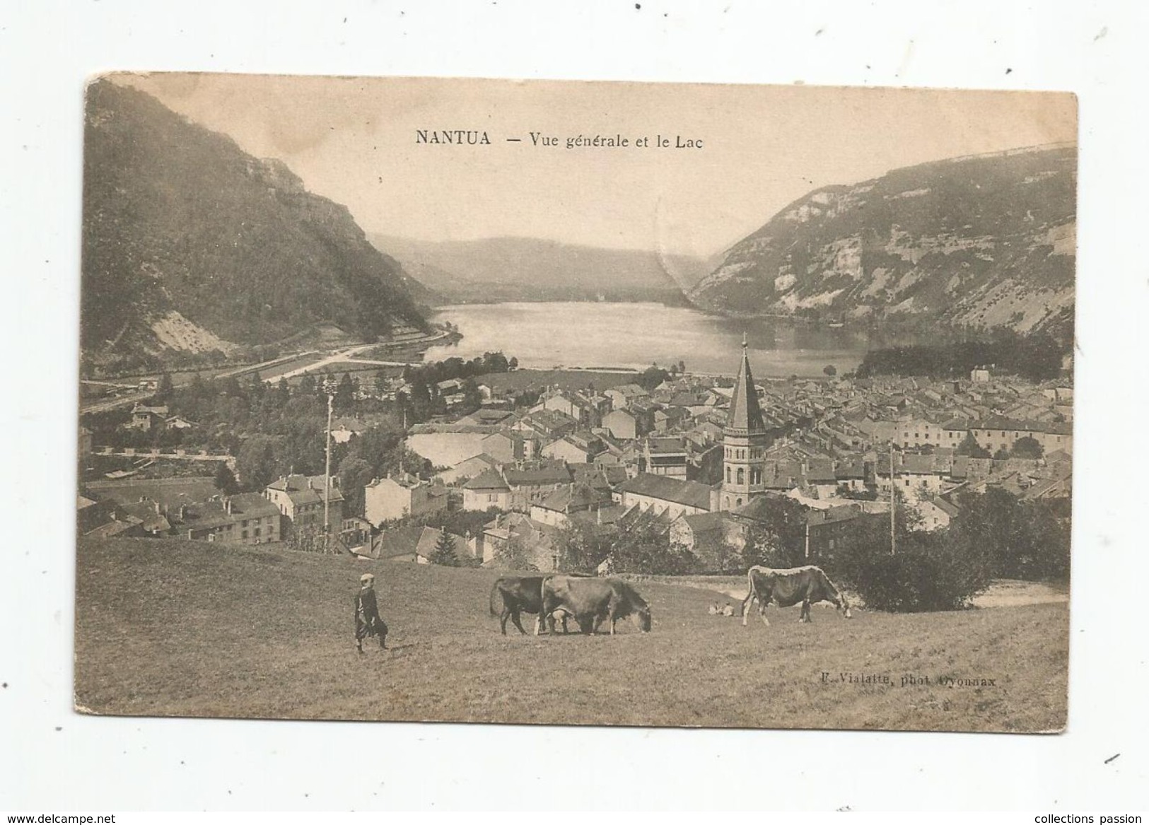 Cp , 01 , NANTUA , Vue Générale Et Le Lac , Agriculture , élevagr , Vaches , Voyagée 1907 - Nantua