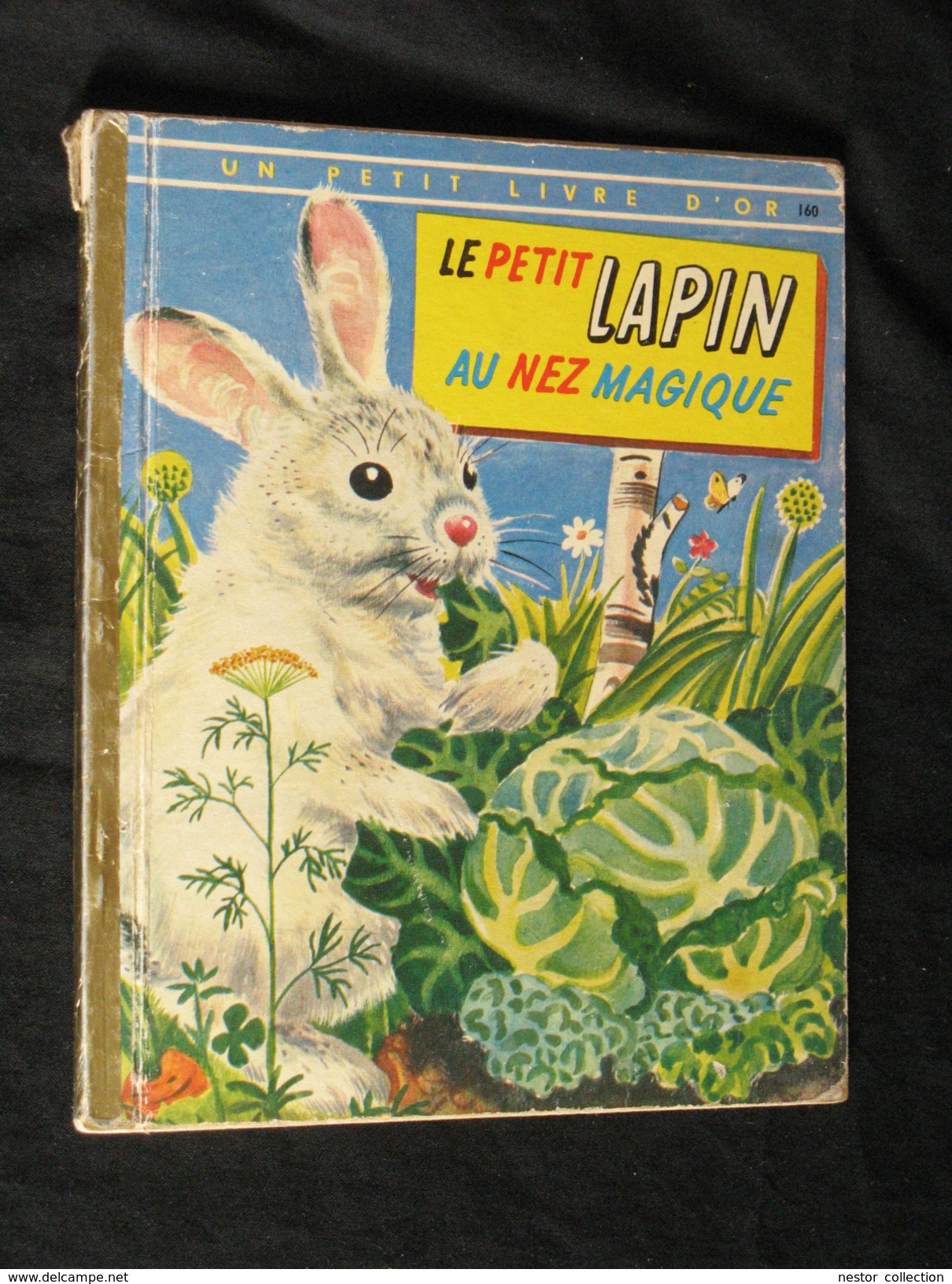 Le Petit Lapin Au Nez Magique Un Petit Livre D'or éditions Des Deux Coqs D'or - Autres & Non Classés