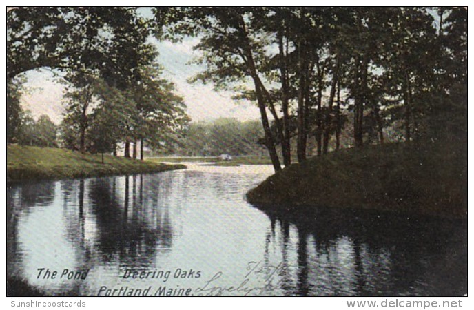 Maine Portland The Pond Deering Oaks 1906 - Portland