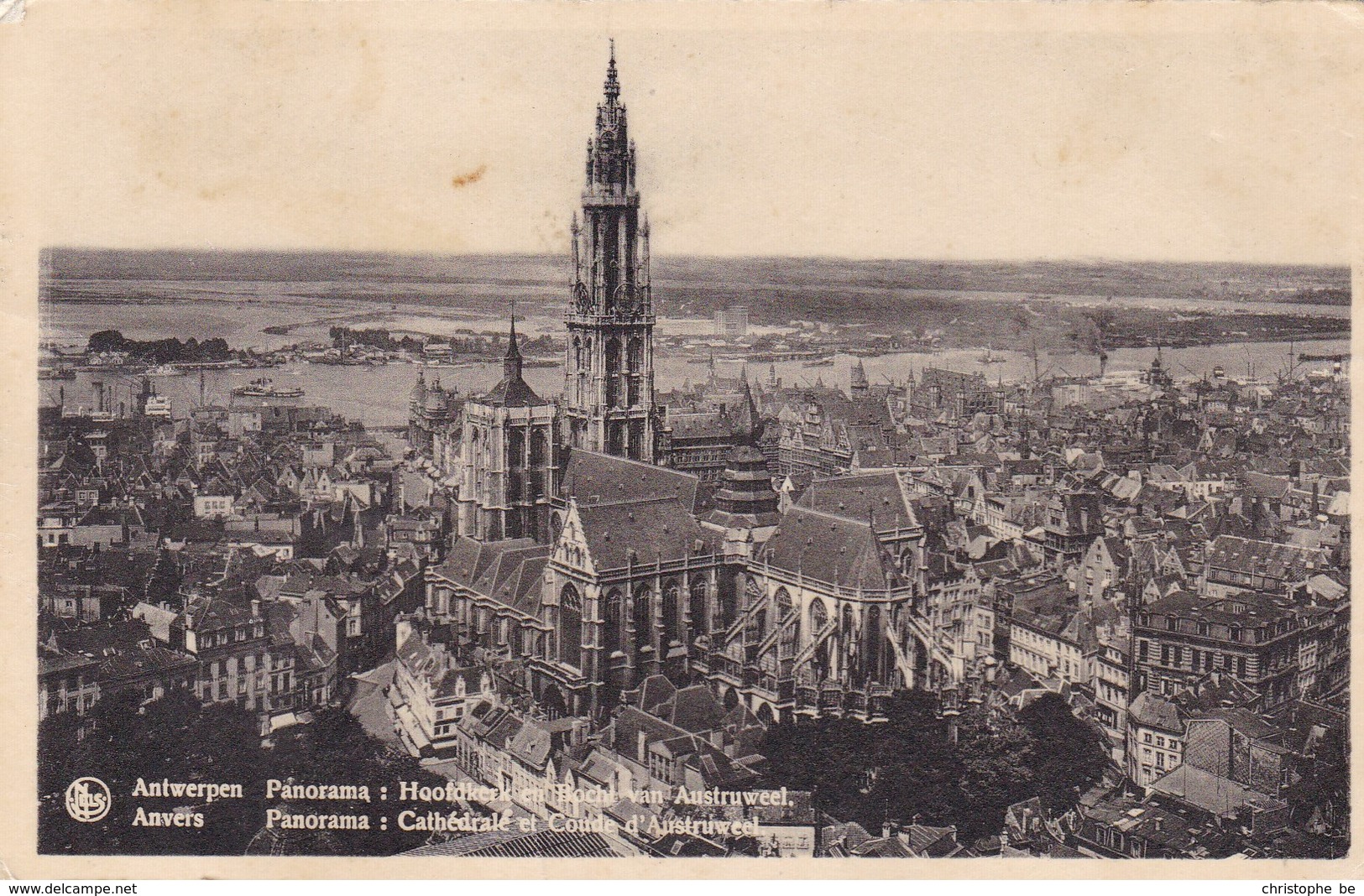 Antwerpen, Panorama, Hoofdkerk En Kant Van Austruweel (pk36788) - Antwerpen