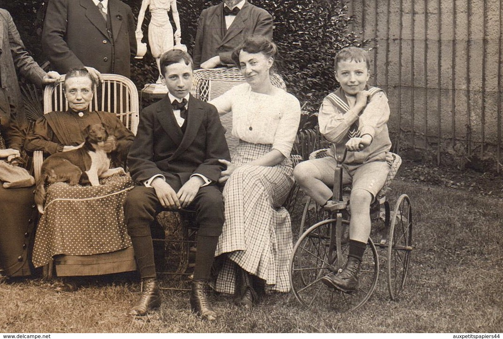 Photo Originale Famille & Tricycle Vers 1910 - Famille Olganier, Ruet, Maillod, Blanc, Posant Avec Chien & Statue - Cyclisme