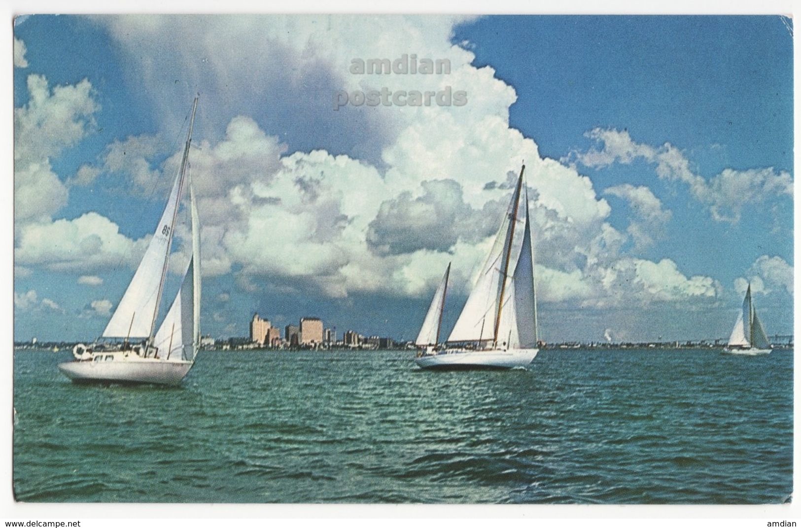 Sailboats And City Skyline Corpus Christi Bay Texas TX C1960s Vintage Postcard - Corpus Christi