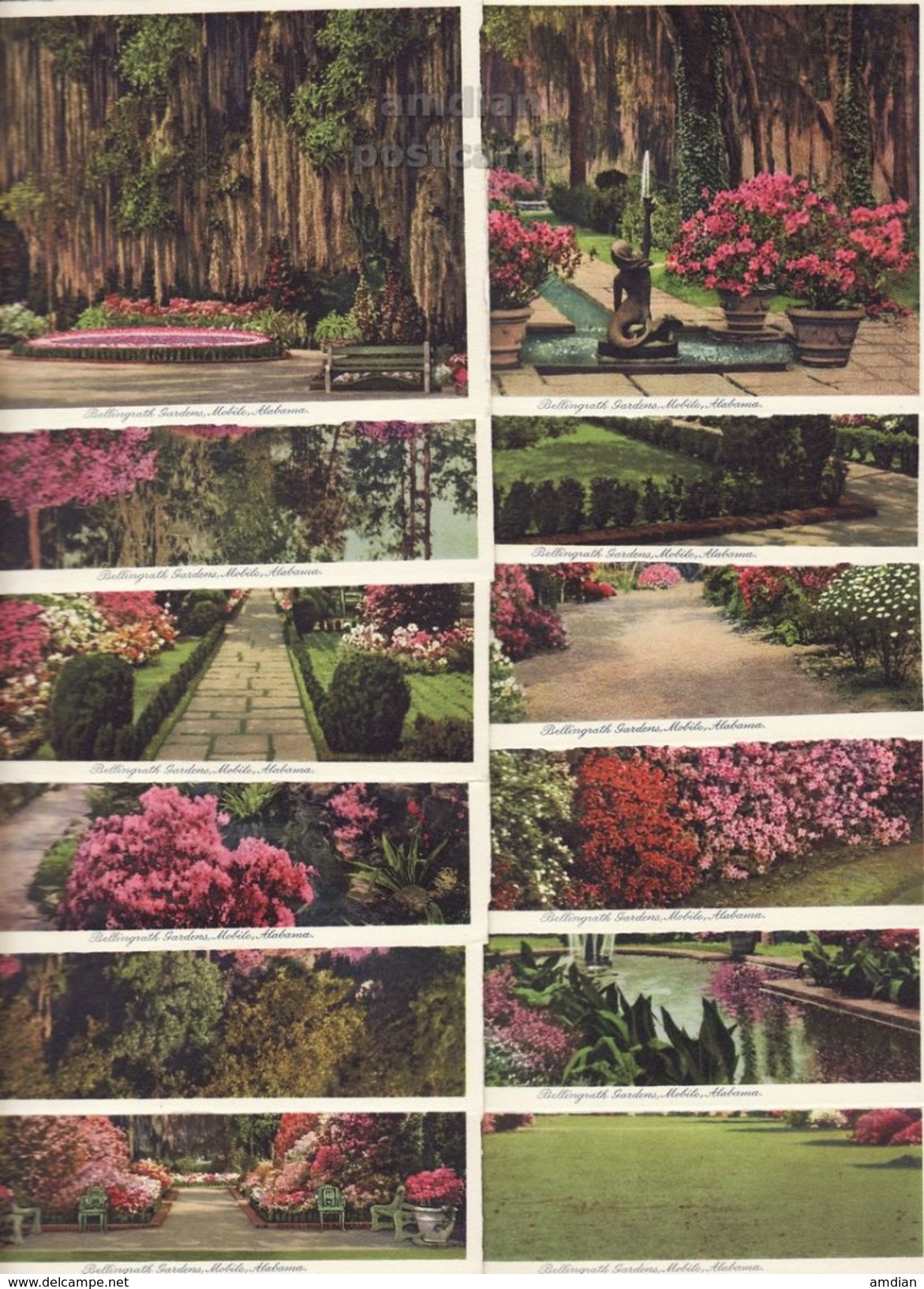 Mobile AL, Bellingrath Gardens 12 X 1930s Views Lot / Collection Vintage Alabama Postcard Set - Mobile
