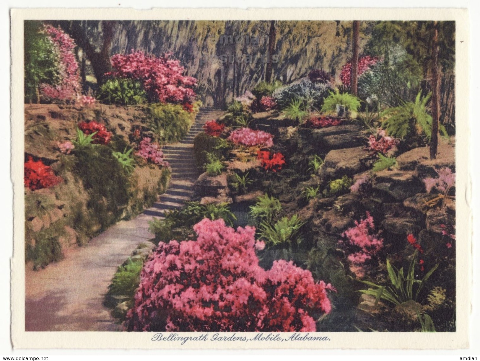 Mobile AL, Bellingrath Gardens 12 X 1930s Views Lot / Collection Vintage Alabama Postcard Set - Mobile