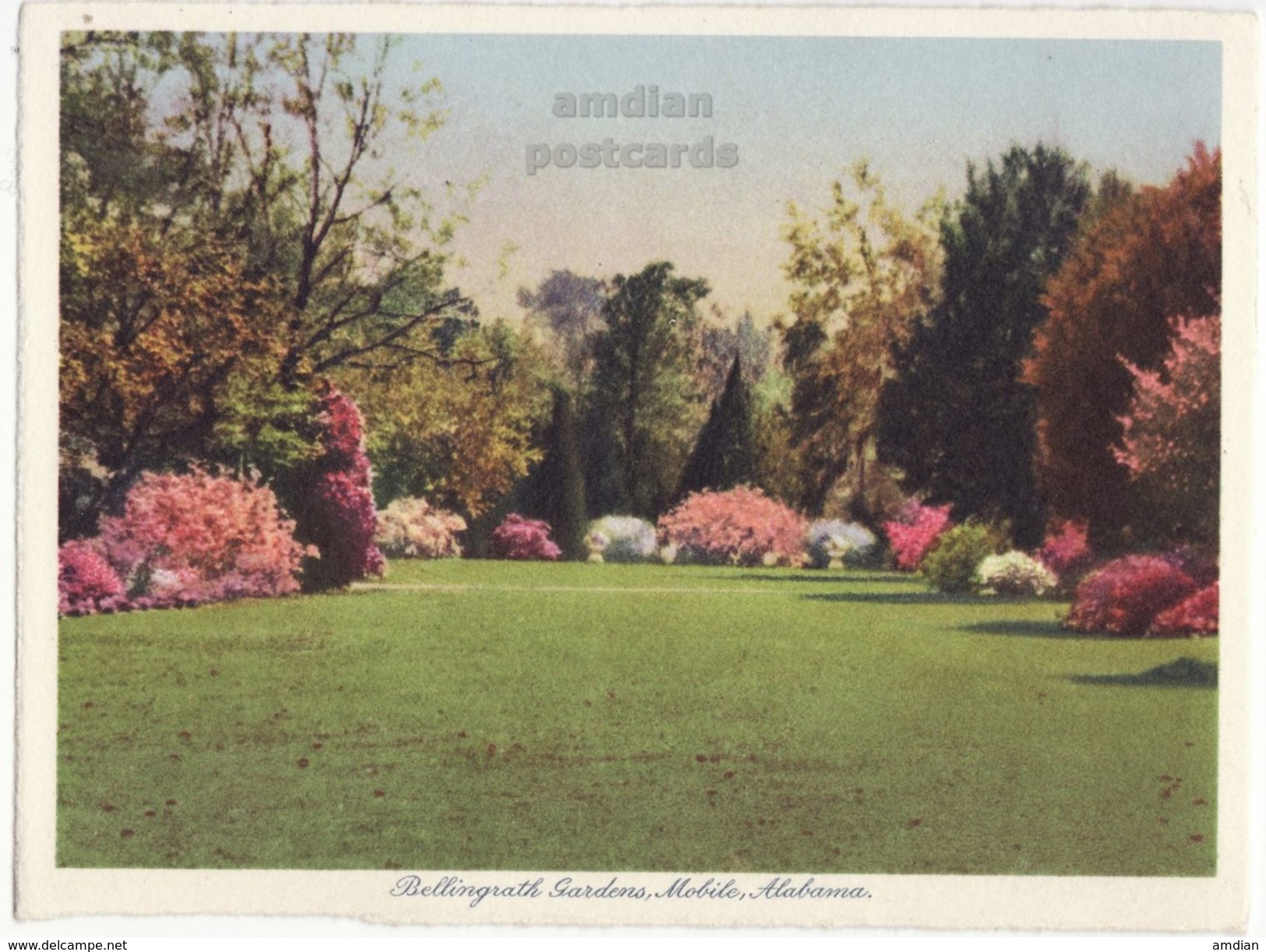 Mobile AL, Bellingrath Gardens 12 X 1930s Views Lot / Collection Vintage Alabama Postcard Set - Mobile