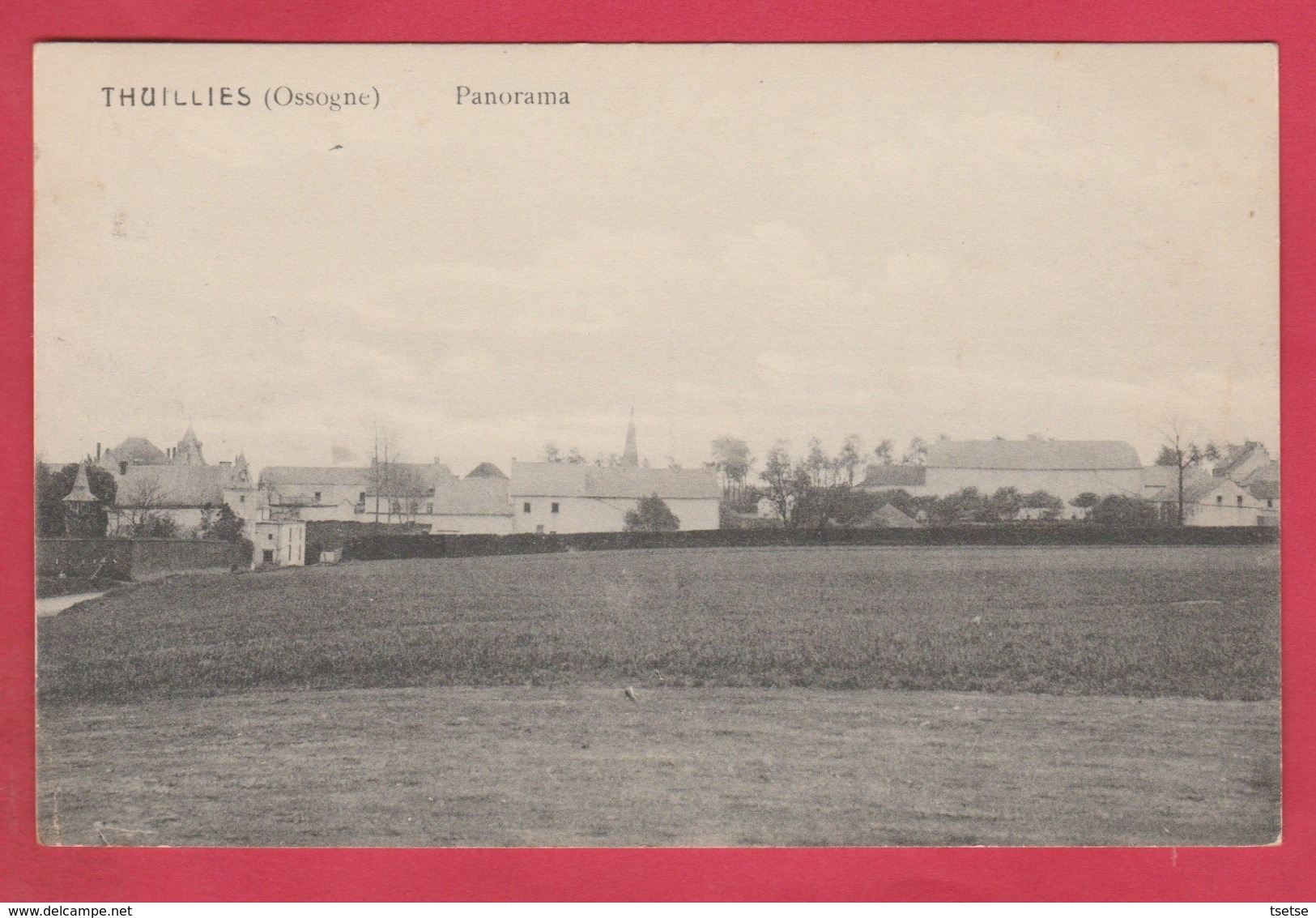 Thuillies ( Ossogne ) - Panorama - 1922 ( Voir Verso ) - Thuin