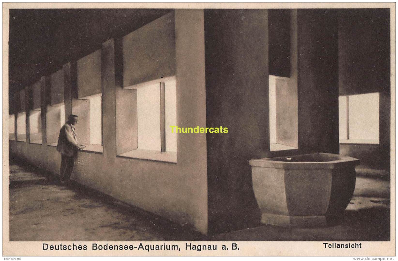 CPA DEUTSCHES BODENSEE AQUARIUM HAGNAU TEILANSICHT - Autres & Non Classés