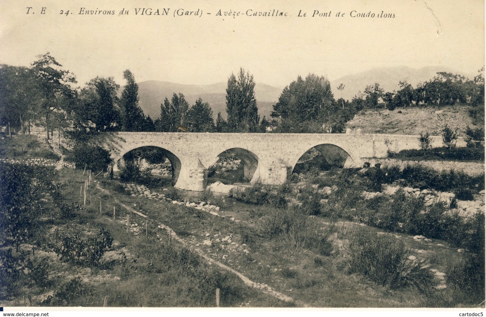 Environs Du Vigan Avèze-Cavaillac Le Pont De Coudoulous  Cpa - Le Vigan