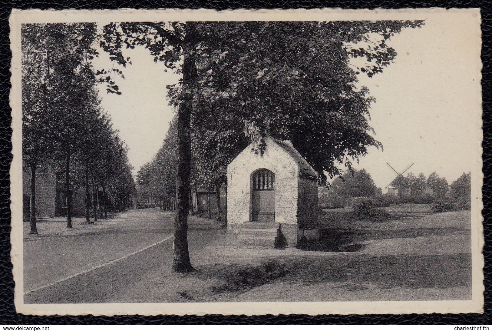 MOL EZAART - KAPELLEKEN - Zicht Op Molen ! Zeldzaam ! - Mol