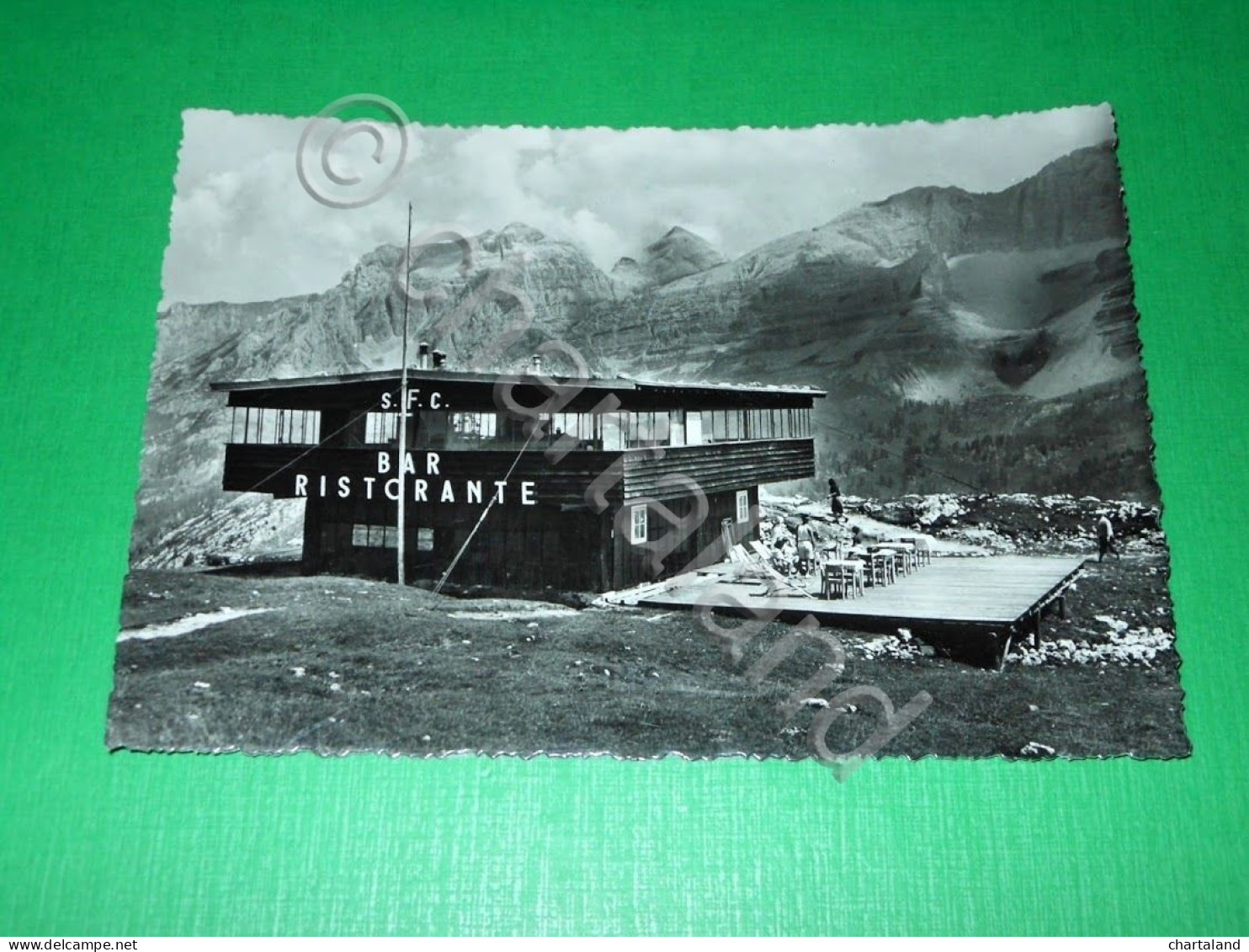 Cartolina Madonna Di Campiglio - Bar Ristorante Del Monte Spinale 1954 - Trento