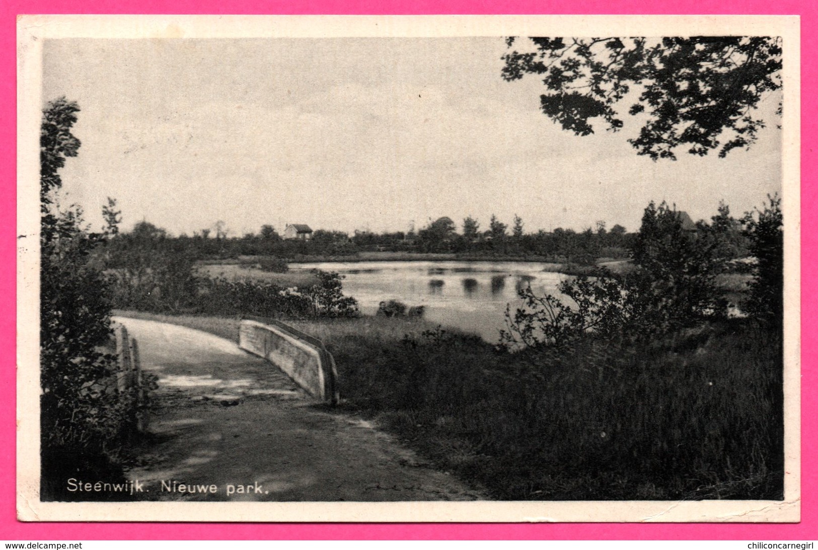 Steenwijk - Nieuwe Park - Uitg. E. LOGTMEIER'S - 1942 - Steenwijk