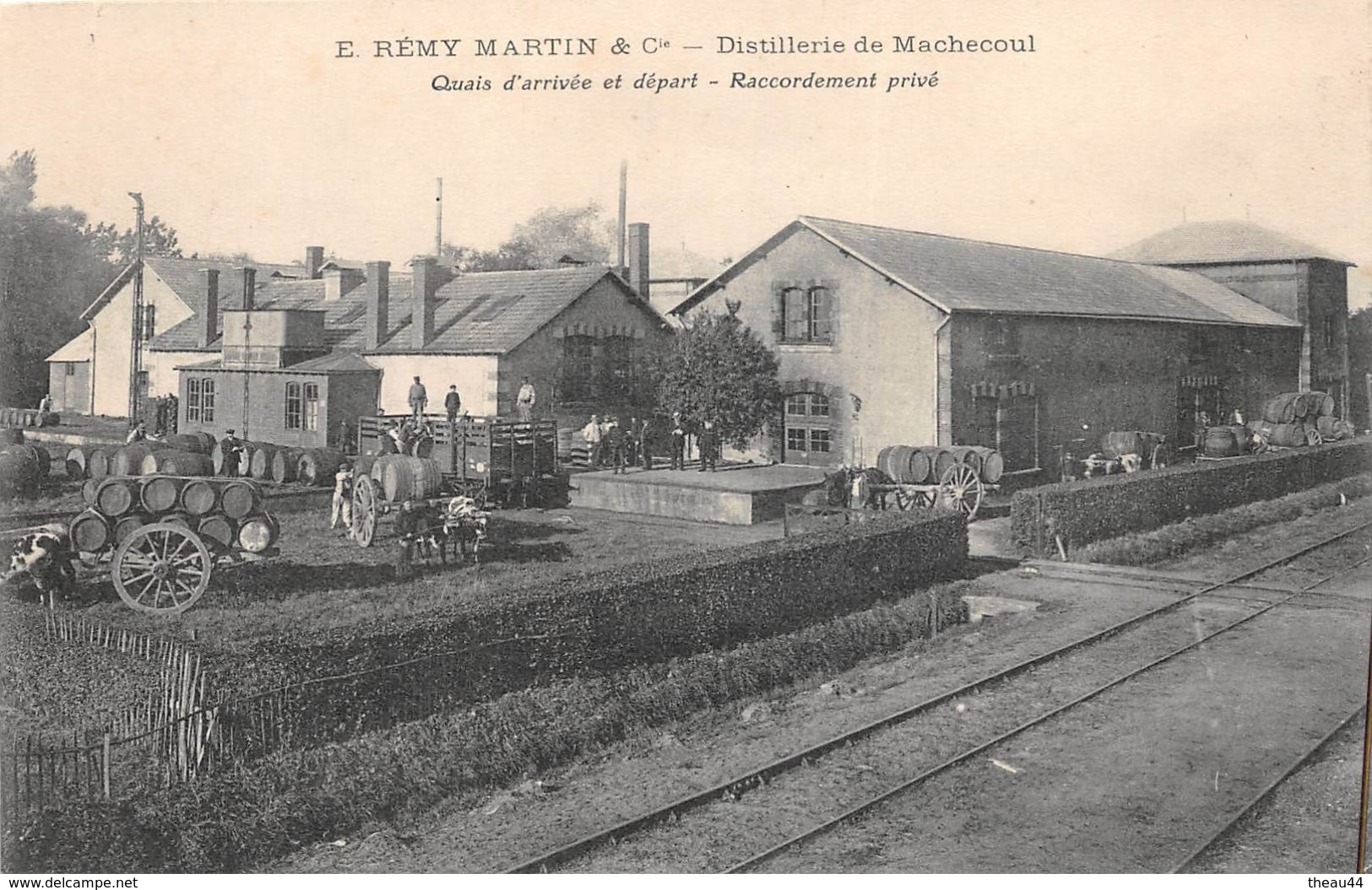 MACHECOUL - Distillerie De Machecoul "E. REMY-MARTIN & Cie" - Quais D'Arrivée Et Départ - Raccordement Privé - Gare - Machecoul