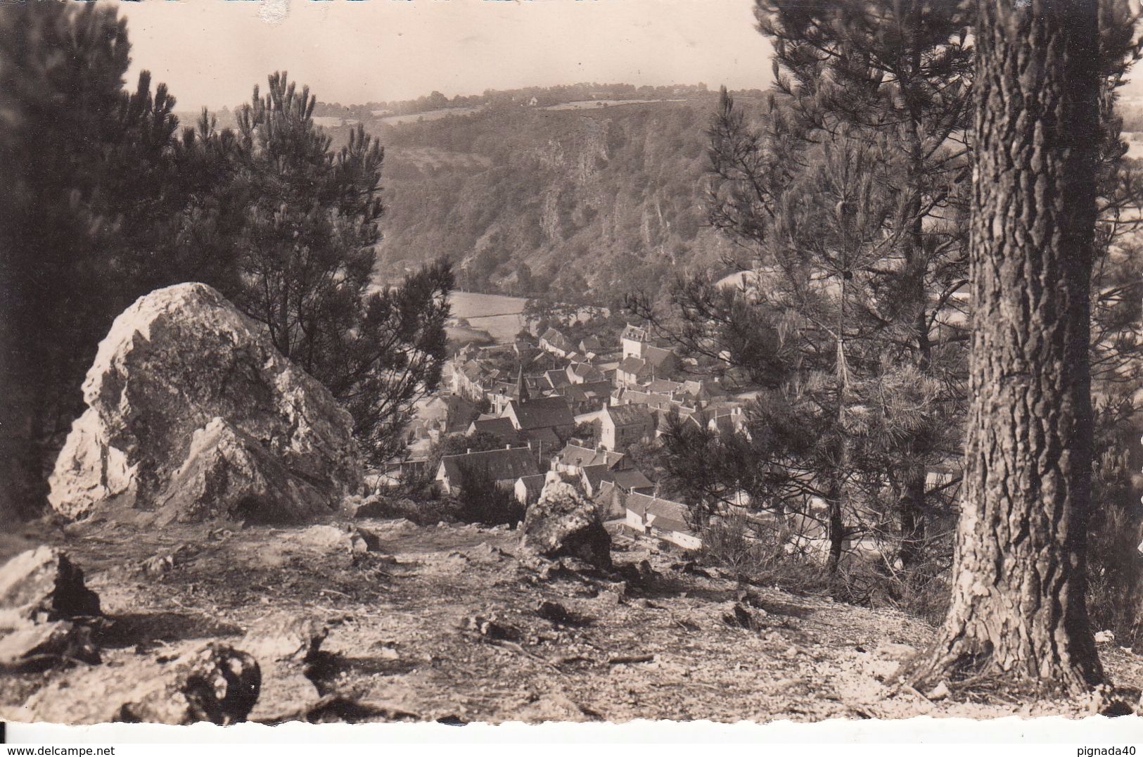 Cp , 72 , SAINT-LÉONARD-des-BOIS , Vue Du Bourg à Travers Les Pins - Saint Leonard Des Bois