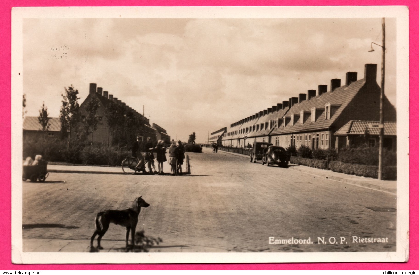 Carte Photo - Emmeloord - N.O.P. Rietstraat - Vieilles Voitures - Poussette - Animée - ECHTE FOTO - Emmeloord