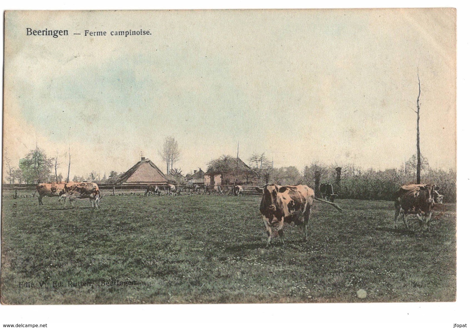 BELGIQUE - BEERINGEN Ferme Campinoise, Pionnière - Beringen