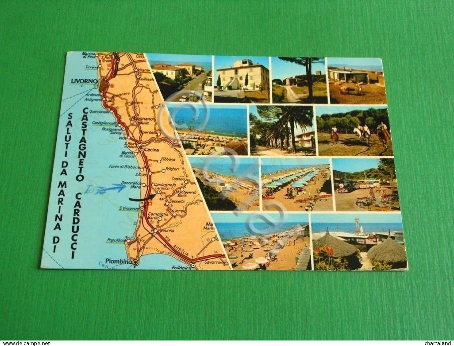 Cartolina Saluti Da Marina Di Castagneto Carducci - Vedute Diverse 1971 - Livorno