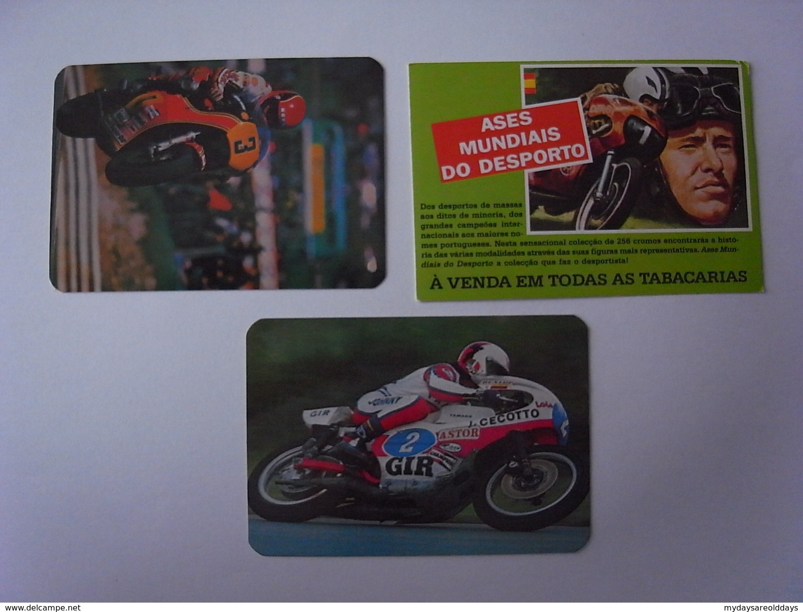 3 Calendar - Mota Moto Motcicleta Motorrad Motocicletta Motorcycle  (zz09) - Petit Format : 1991-00