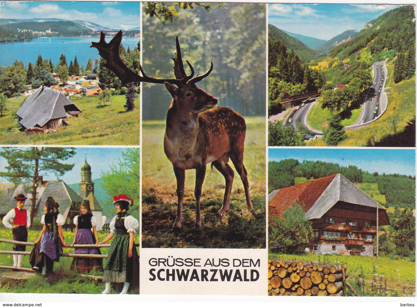 Alemagne , Schwarzwald , Postcard - Other & Unclassified