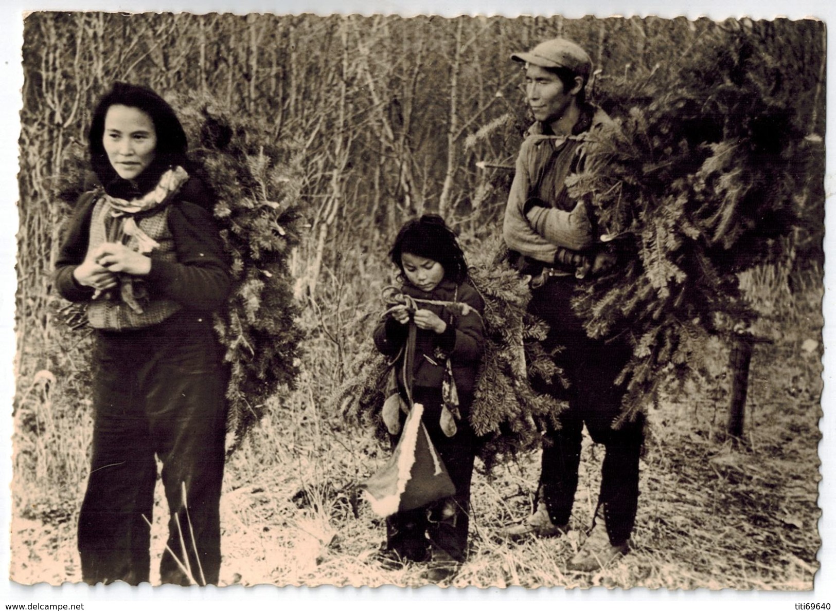 CANADA : Famille Indienne Du Yukon - On Dormira Sur Ces Branches D'épinettes - Yukon