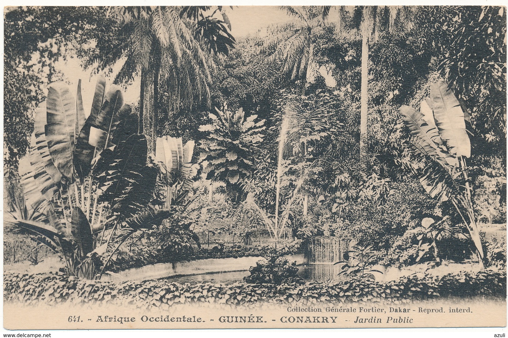 GUINEE, CONAKRY -  Jardin Public, Arbre - Fortier - Guinée