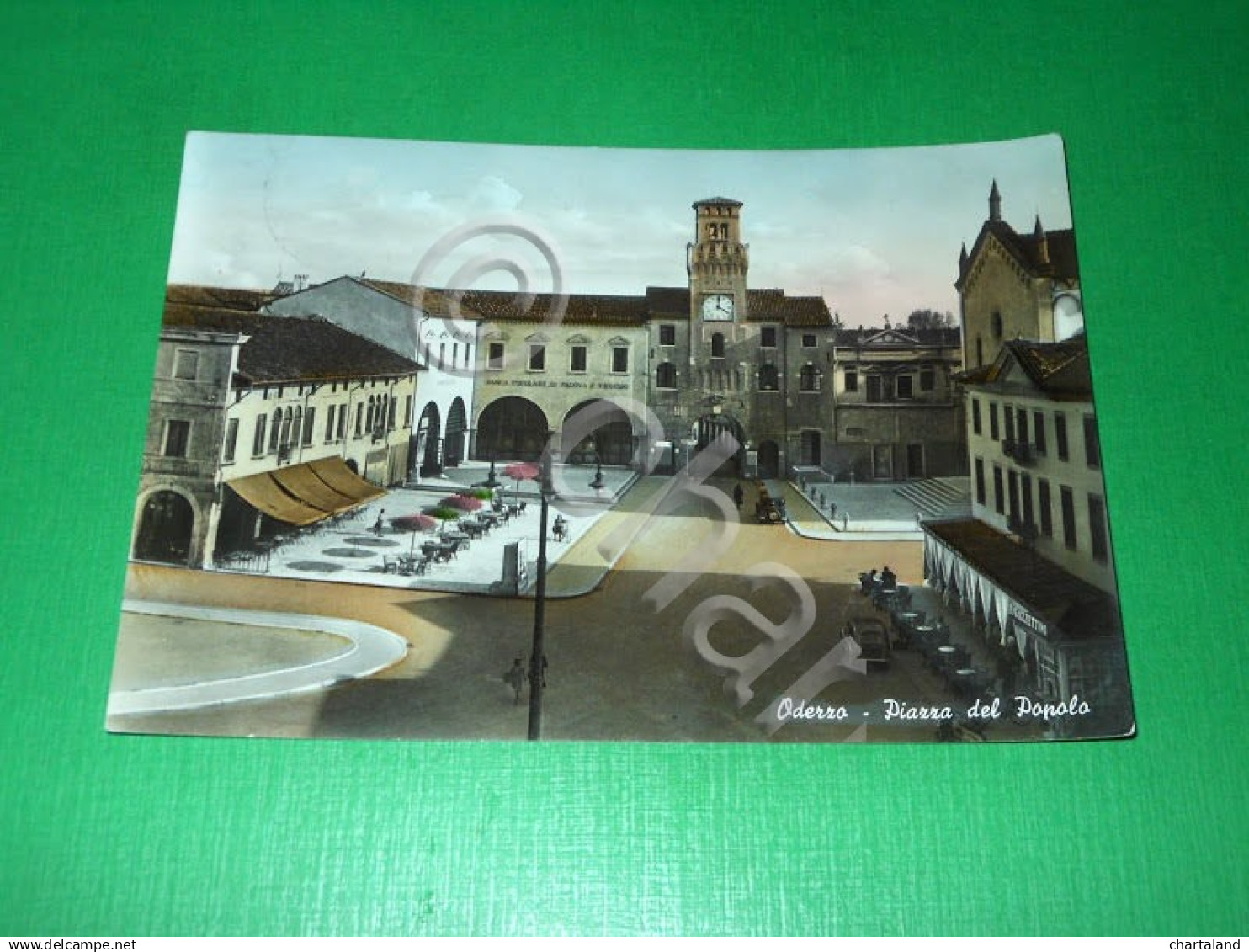 Cartolina Oderzo - Piazza Del Popolo 1955 Ca - Treviso