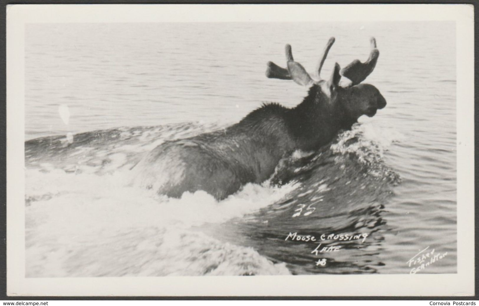 Moose Crossing Lake, Geraldton, Ontario, Canada, C.1950 - Fisher RPPC - Other & Unclassified