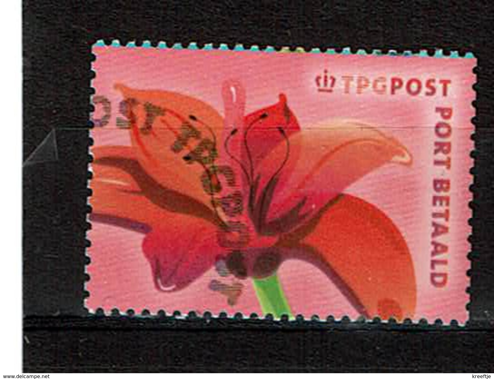 Nederland Niederlande Pays-Bas Holland TPG Post Port Betaald ( Bloem Fleur Flower ) - Usados