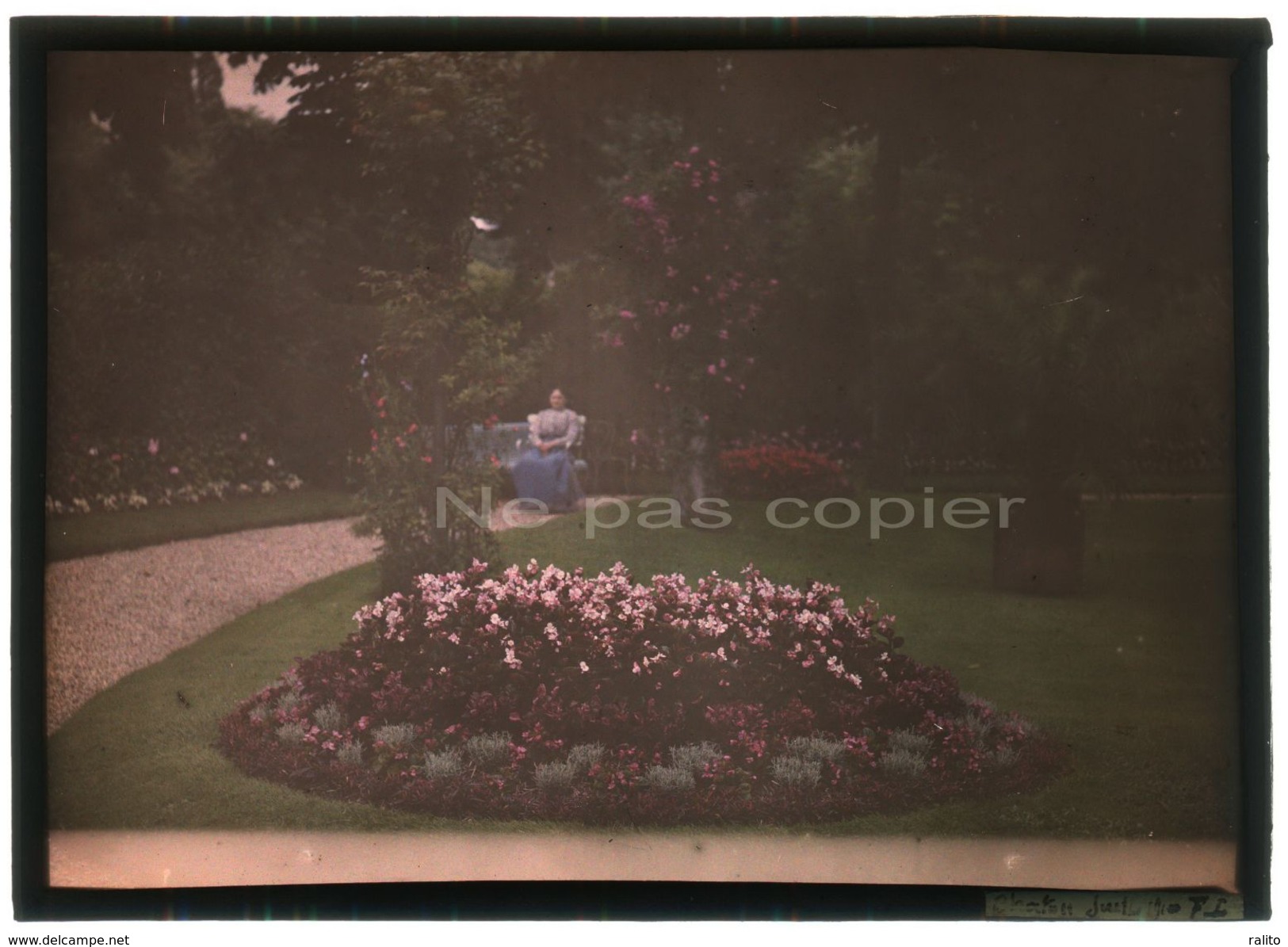 AUTOCHROME 13 X 18 Primitif 1910 CHATOU Femme Jardin Fleuri YVELINES 78 - Altri & Non Classificati