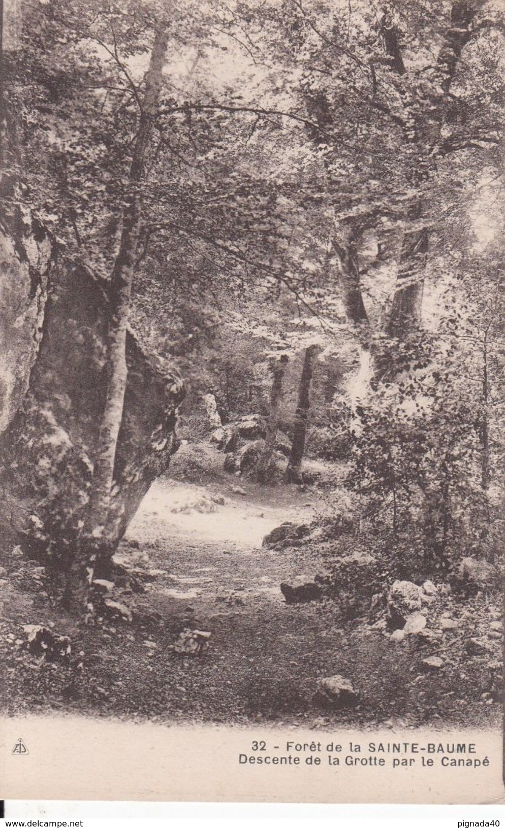 Cp , 83 , PLAN-D'AUPS , Forêt De La Ste-Baume , Descente De La Grotte Par Le Canapé - Nans-les-Pins