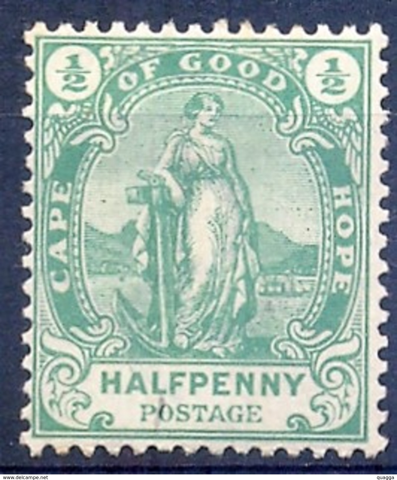 Cape Of Good Hope 1893. ½d Standing Hope. SACC 53*, SG 58*. - Kap Der Guten Hoffnung (1853-1904)