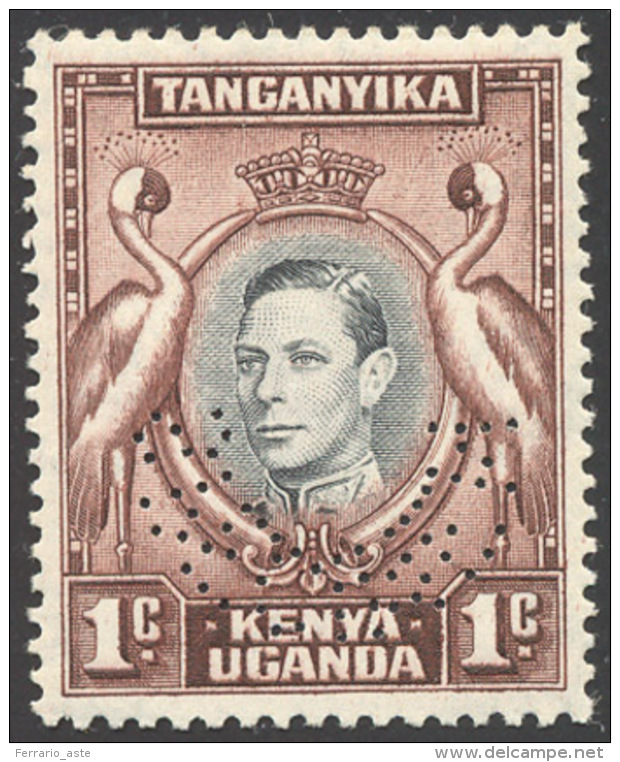 COLONIE INGLESI - KENIA 1938 - 1 Cent. Giorgio VI (Scott 131), Saggio Perforato SPECIMEN, Perfetto, ... - Autres & Non Classés