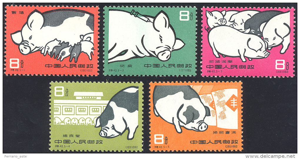 1960 - Pig Breeding, Complete Set Of 5 Stamps (1304/1308), O. G., Never Hinged, Very Beautiful. ... - Altri & Non Classificati