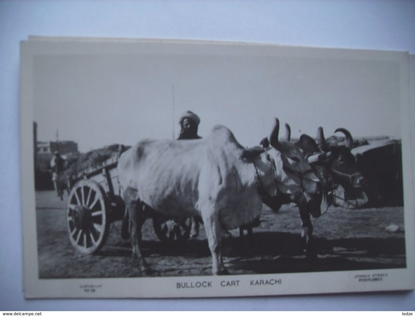 Pakistan Karachi Bullock Cart Old - Pakistan