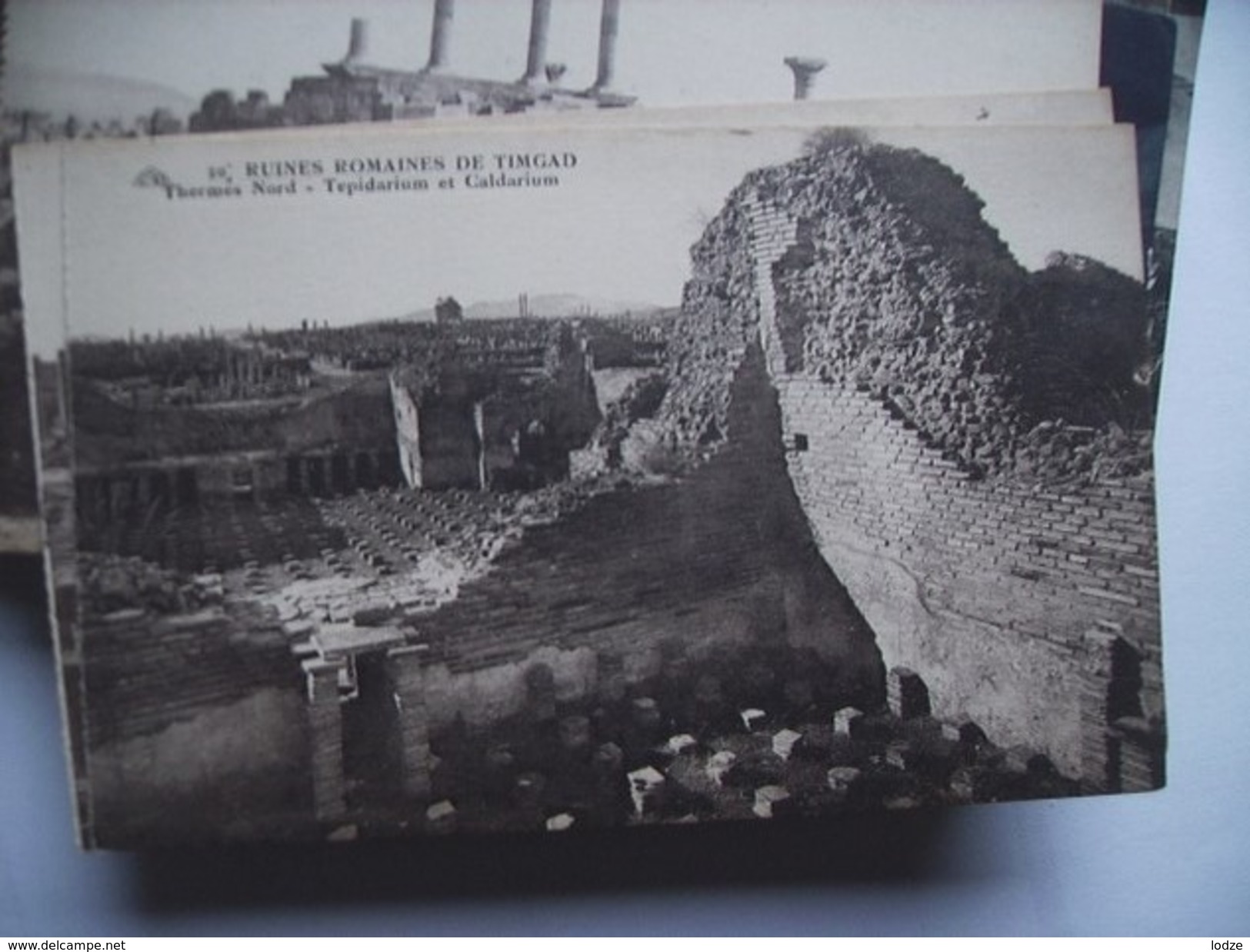 Algerije Alger Algérie Timgad Ruines Romaines Thermes Nord - Andere & Zonder Classificatie
