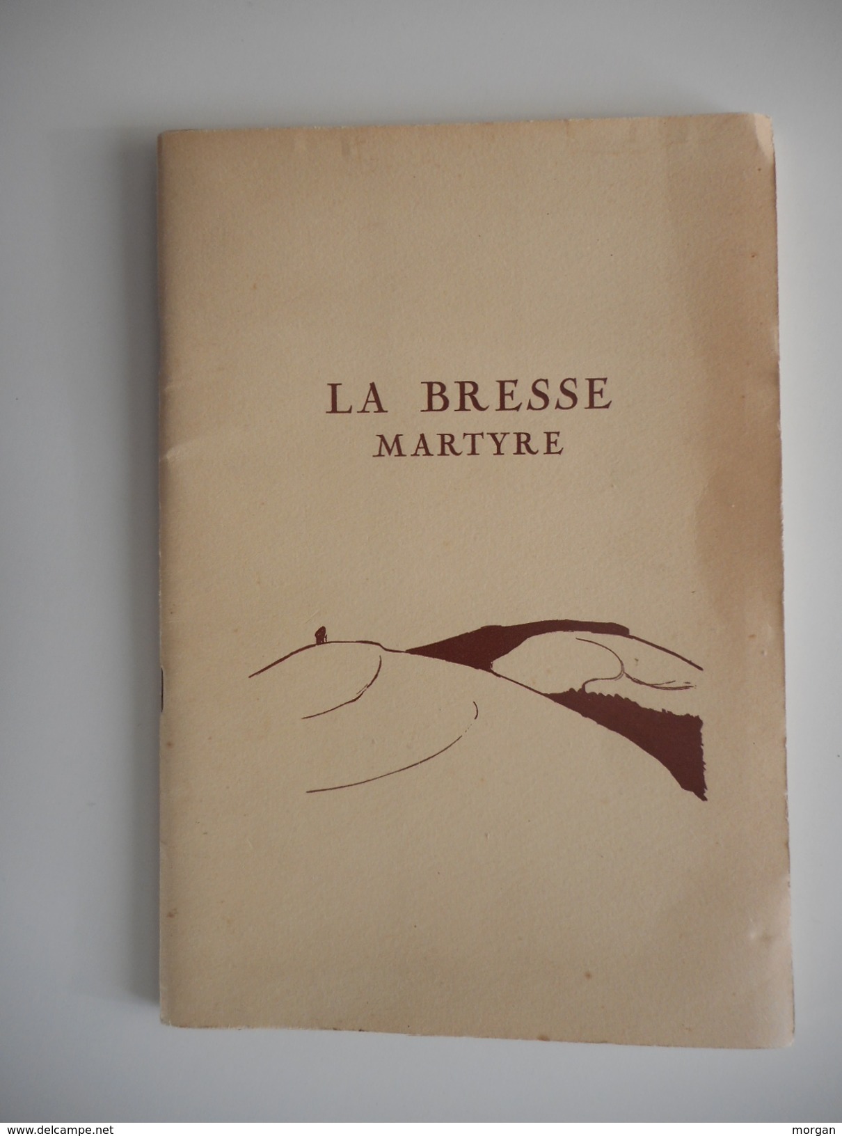 LORRAINE, VOSGES, LA BRESSE MARTYRE, MAQUIS DE LA PIQUANTE PIERRE, 1946, COMPOSITIONS DE CHATELAIN CEZ - Lorraine - Vosges