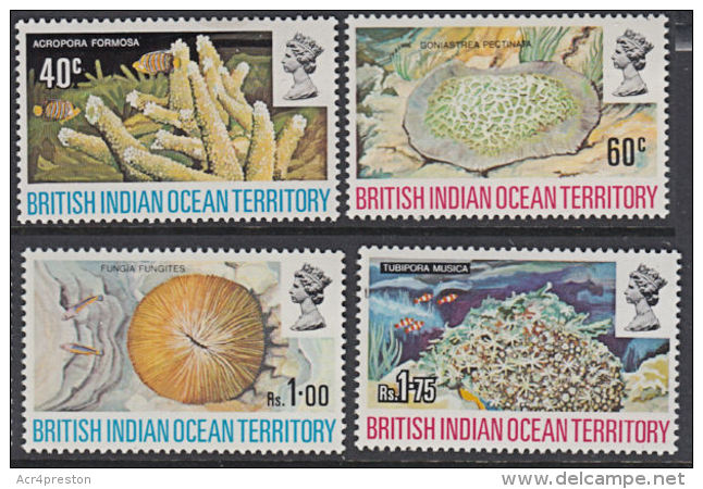 C0462 BRITISH INDIAN OCEAN TERRITORY (BIOT) 1972, SG 41-4  Corals   MNH - Territorio Britannico Dell'Oceano Indiano